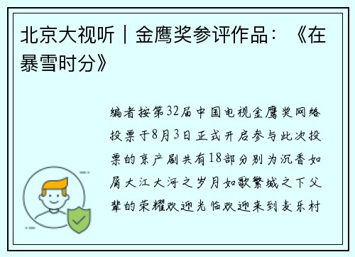 北京大视听｜金鹰奖参评作品：《在暴雪时分》
