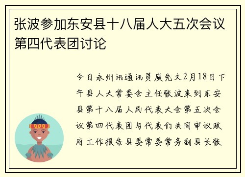 张波参加东安县十八届人大五次会议第四代表团讨论
