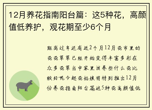 12月养花指南阳台篇：这5种花，高颜值低养护，观花期至少6个月
