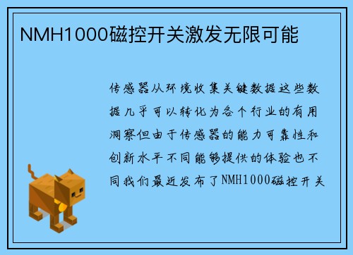 NMH1000磁控开关激发无限可能