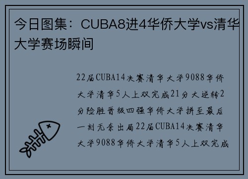 今日图集：CUBA8进4华侨大学vs清华大学赛场瞬间