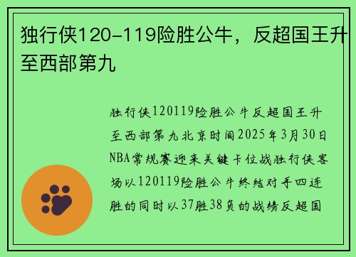 独行侠120-119险胜公牛，反超国王升至西部第九