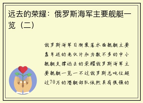 远去的荣耀：俄罗斯海军主要舰艇一览（二）