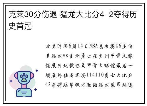 克莱30分伤退 猛龙大比分4-2夺得历史首冠