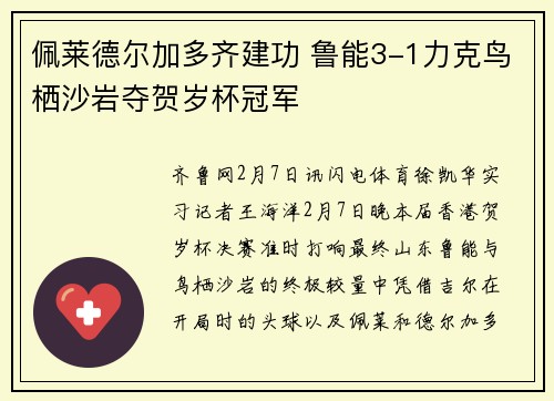 佩莱德尔加多齐建功 鲁能3-1力克鸟栖沙岩夺贺岁杯冠军